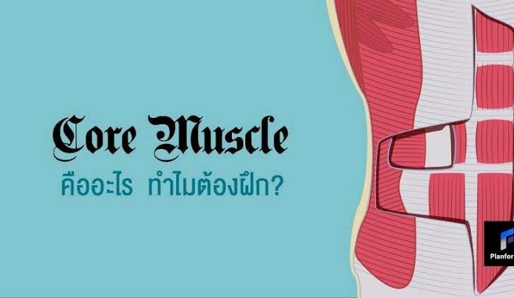 กล้ามเนื้อ core muscle